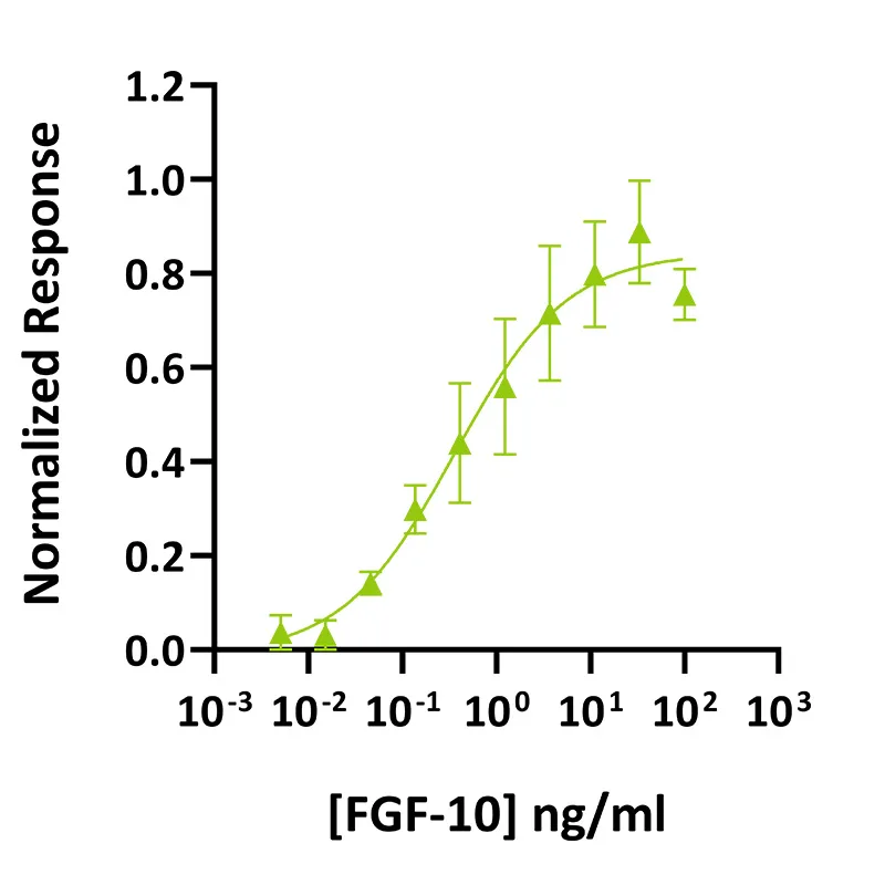 Recombinant human FGF-10 protein (Qk003) - Image 2