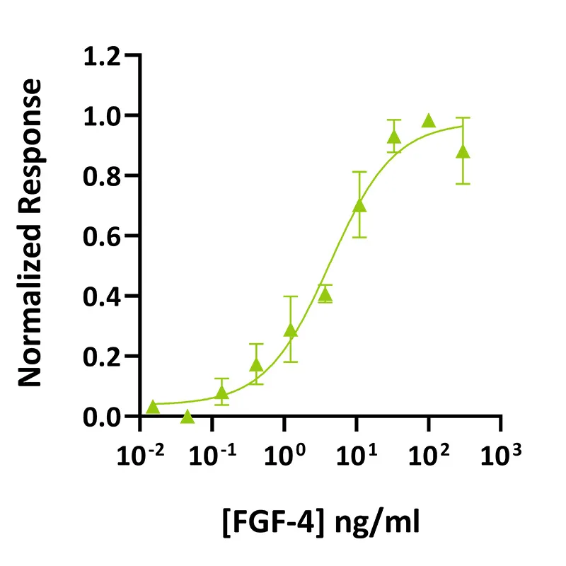 Bioactivity graph FGF-4