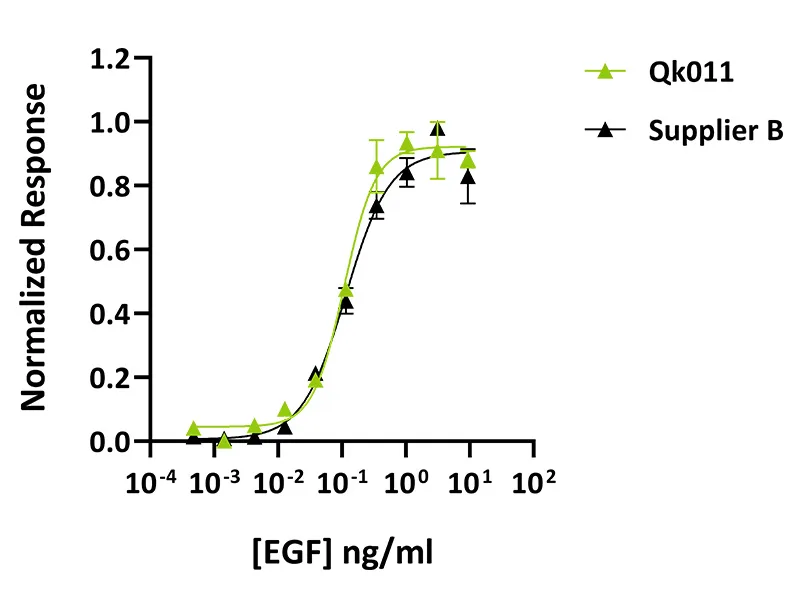Recombinant human EGF protein (Qk011) - Image 5