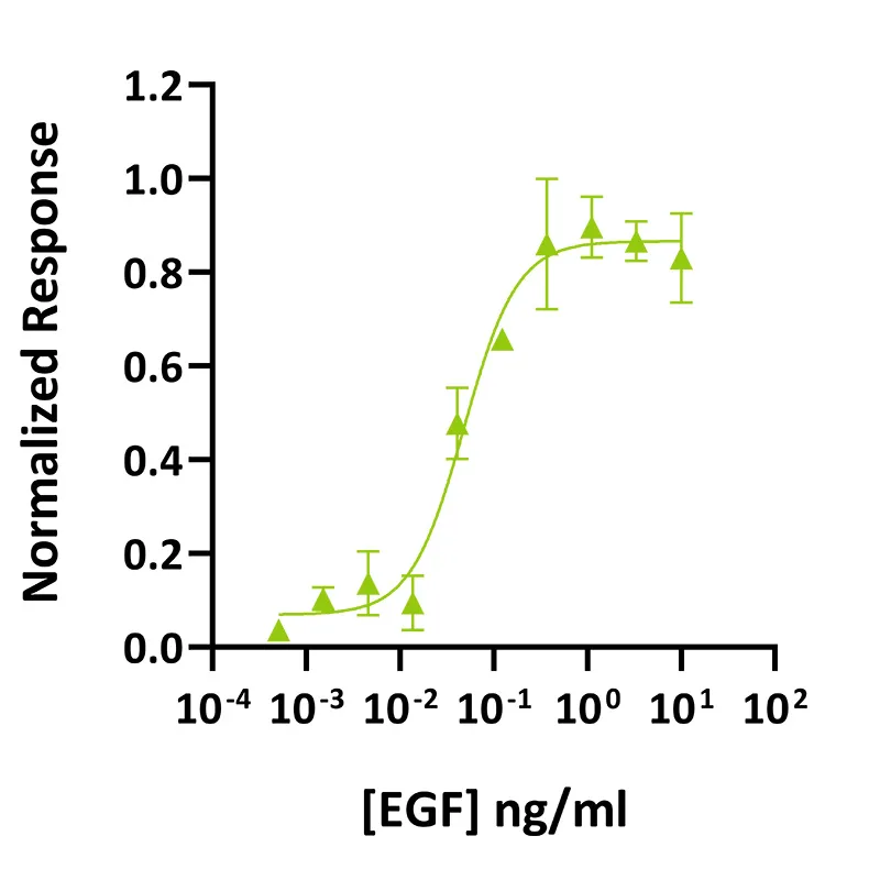 Recombinant human EGF protein (Qk011) - Image 2