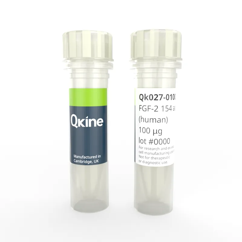 Qk027 FGF-2 154 aa vial image