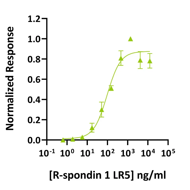 Qk031 R-spondin 1 LR5 bioactivity graph