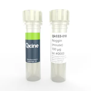 Recombinant mouse noggin protein (Qk033)