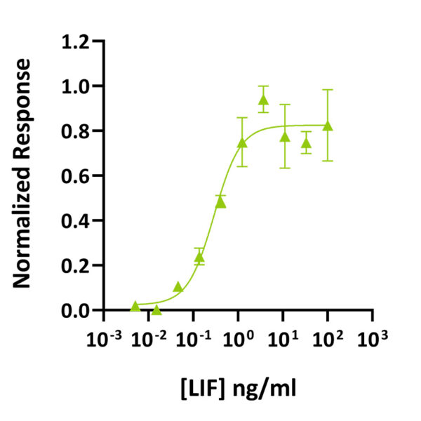 Recombinant human LIF protein (Qk036) - Image 3