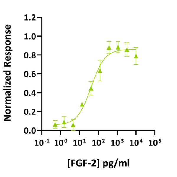 Qk040 bovine/porcine FGF-2 bioactivity