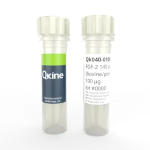 Qk040 FGF-2 vial image