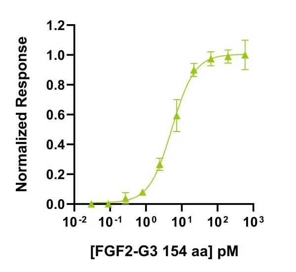 Recombinant FGF2-G3 (154 aa) protein (Qk053) - Image 2