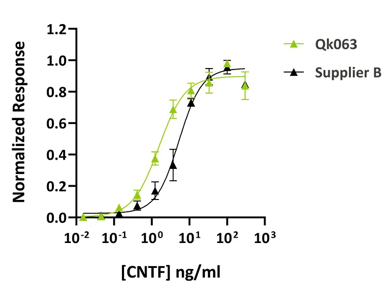 Recombinant human CNTF protein (Qk063) - Image 4