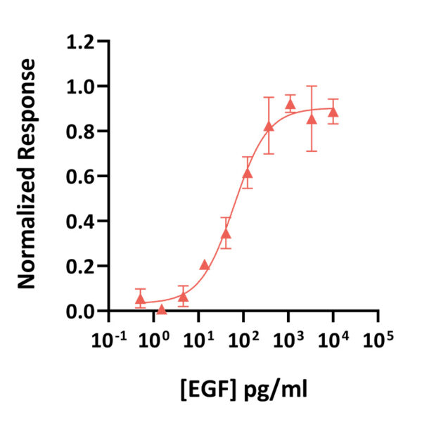 Recombinant porcine EGF protein (Qk064-FG) - Image 2