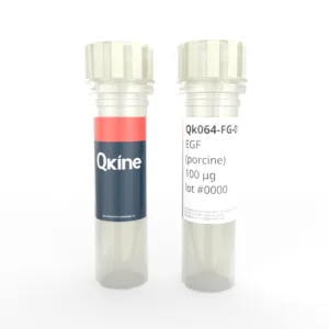 Qk064-FG porcine EGF vial image