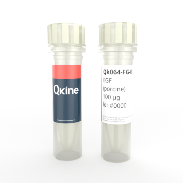Qk064-FG porcine EGF vial image