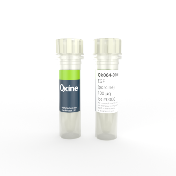 Qk064 Vial Render Standard 2024 label-Camera Qk064 porcine EGF vial image