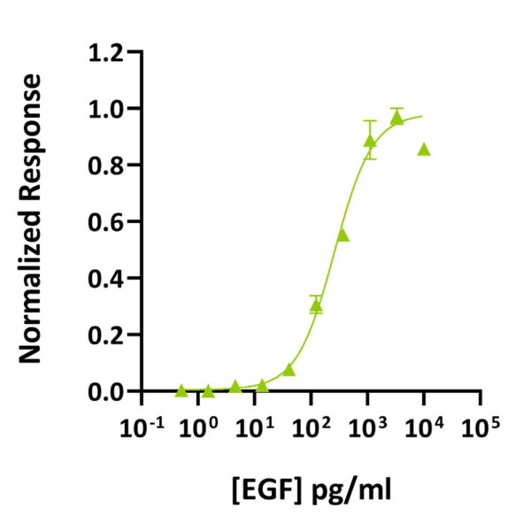 Recombinant mouse EGF protein (Qk066) - Image 2