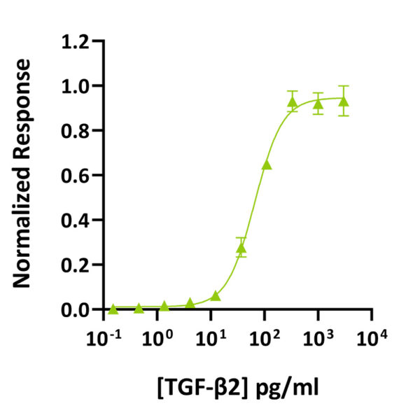 Recombinant human TGF-β2 protein (Qk072) - Image 3
