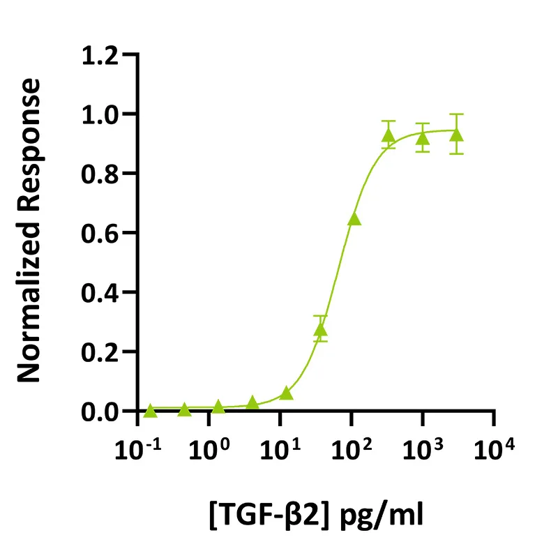 Recombinant human TGF-β2 protein (Qk072) - Image 3
