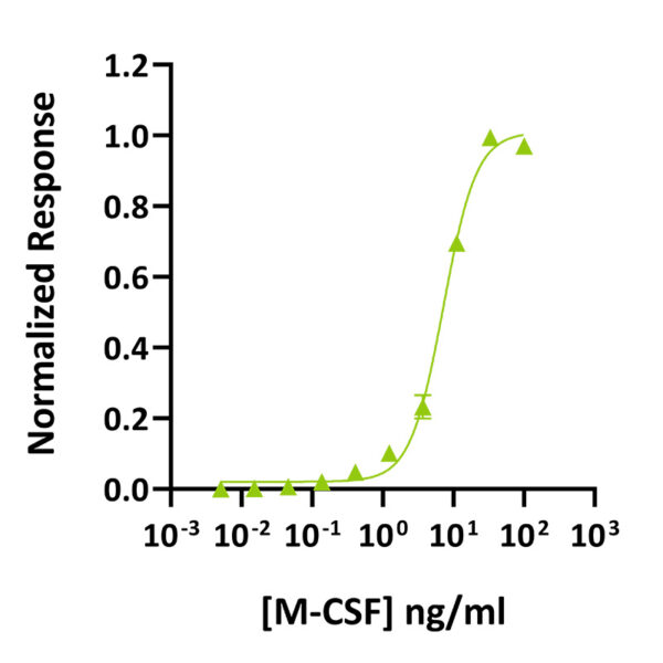 Recombinant human M-CSF protein (Qk075) - Image 2