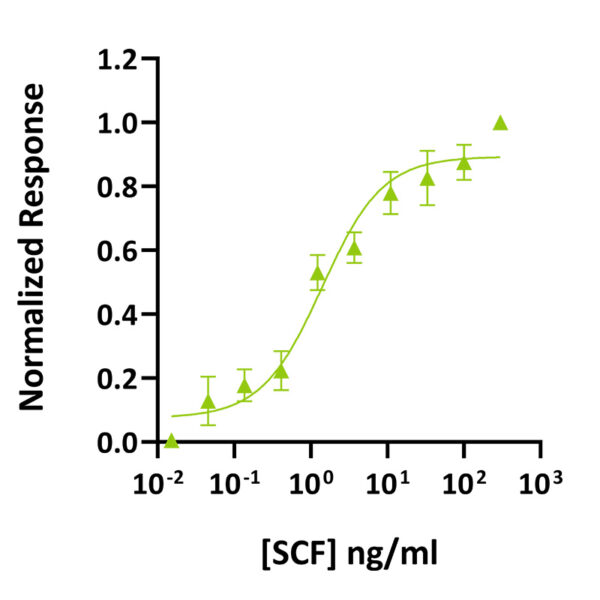 Recombinant human SCF protein (Qk078) - Image 2