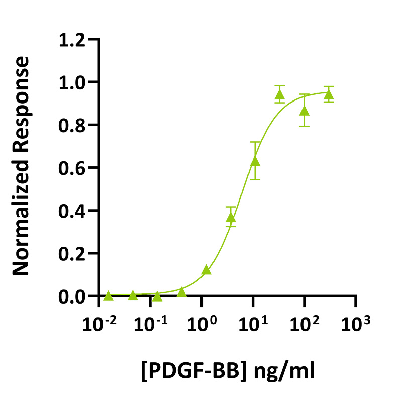 Qk079 bovine PDGF-BB vial image