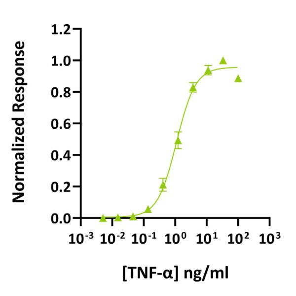 Recombinant human TNF-alpha protein (Qk083) - Image 3