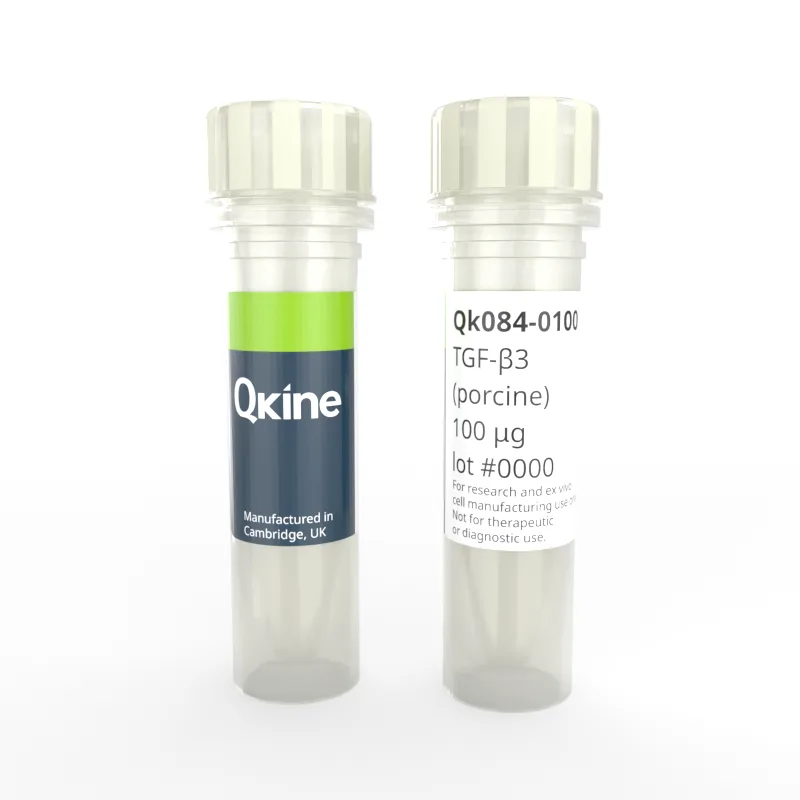Qk084 TGF beta 3 vial image