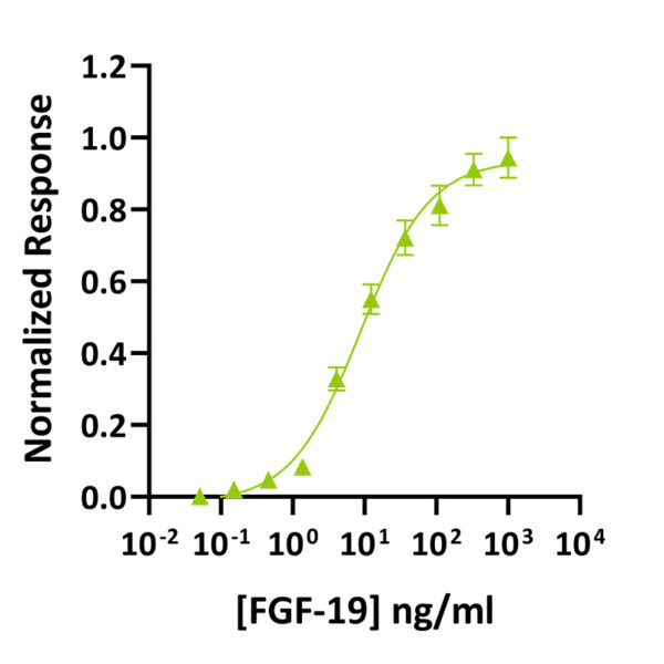 Recombinant human FGF-19 protein (Qk086) - Image 2