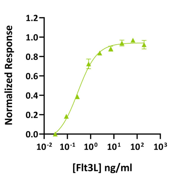 Recombinant human Flt3L protein (Qk087) - Image 2
