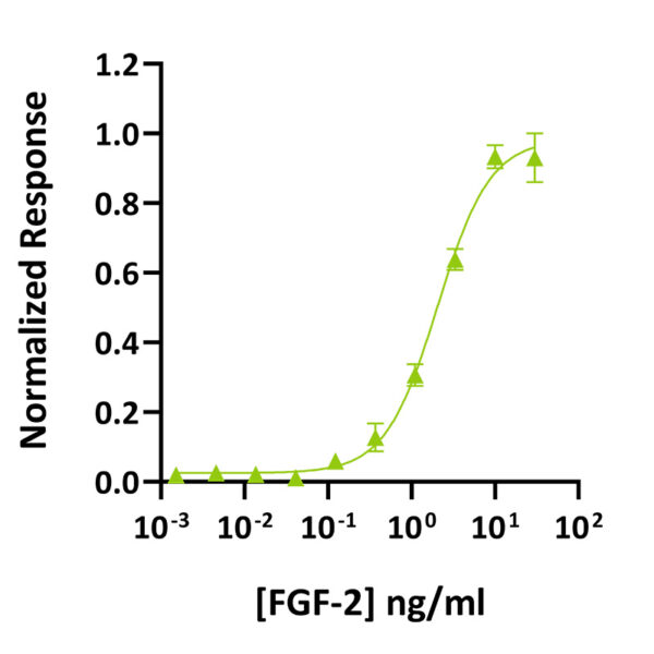 Qk102 salmon FGF-2 145 aa bioactivity