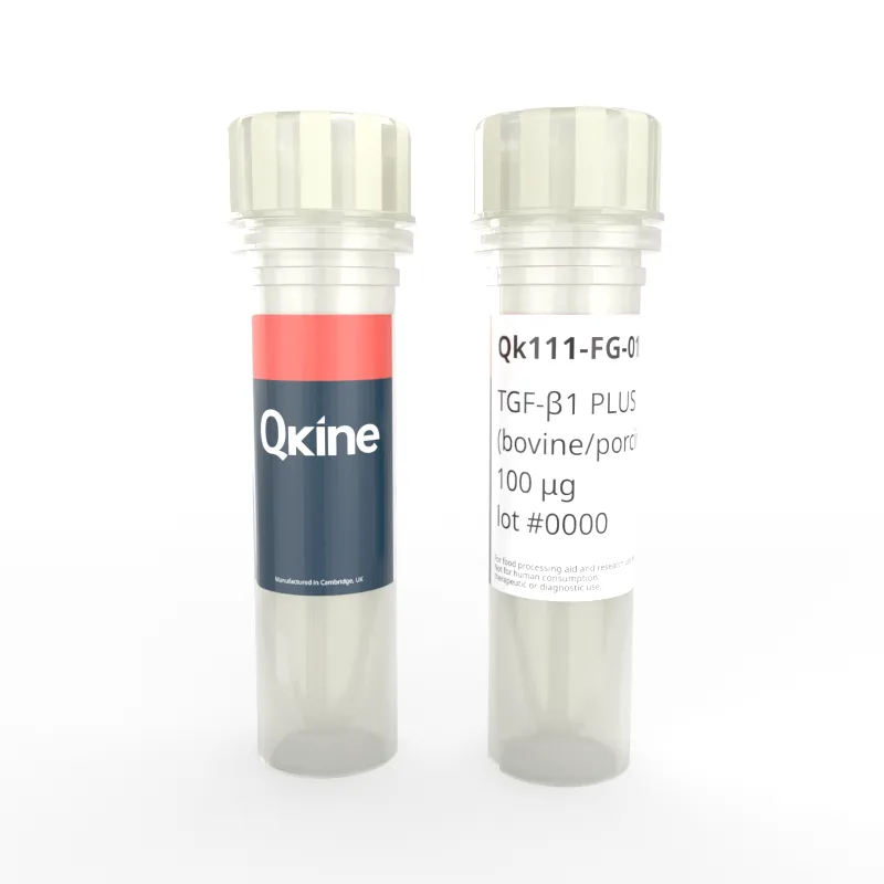 Qk111-FG bpTGF-b1 vial image