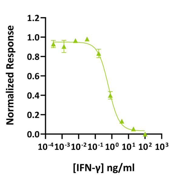 Recombinant human IFN-gamma protein (Qk117) - Image 2