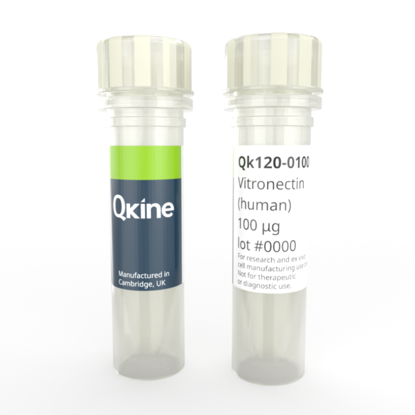 Qk120 human vitronectin vial image