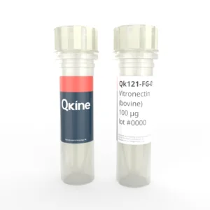 Qk121-FG bovine vitronectin vial image