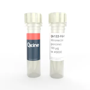 Recombinant porcine vitronectin protein (Qk122-FG)
