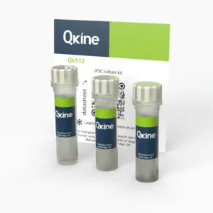 iPSC culture kit (Qk512)