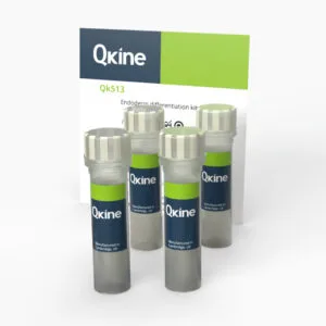 Endoderm differentiation kit (Qk513)