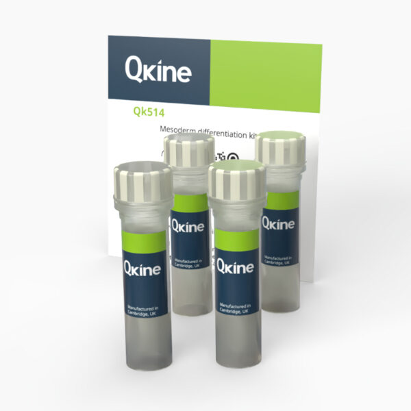 Mesoderm differentiation kit (Qk514)