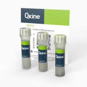 Ectoderm differentiation kit (Qk515)