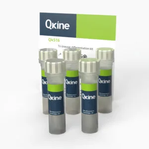 Tri-lineage differentiation kit (Qk516)
