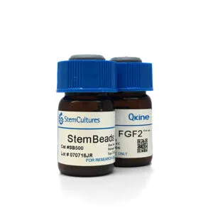StemBeads® Qkine FGF-2 154 aa