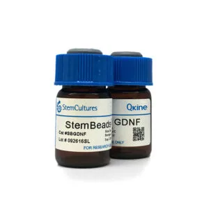 StemBeads® Qkine GDNF