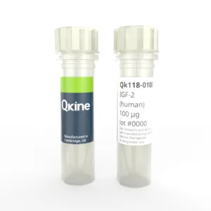 Recombinant human IGF-2 protein (Qk118)