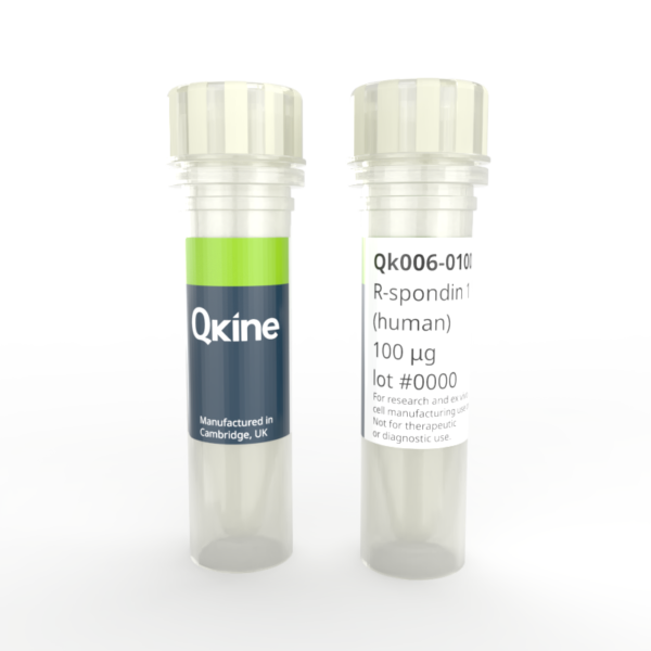 Vial-render-Qk006-Camera Vial image R-spondin 1