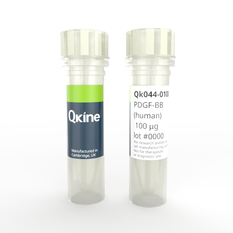 Recombinant human PDGF-BB protein (Qk044)