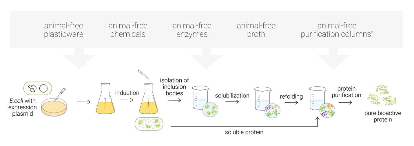 manufacture-process-simple-1500 (1) manufacture-process-simple-1500 (1)