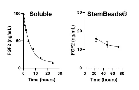 StemBeads® Qkine FGF-2 154 aa - Image 3