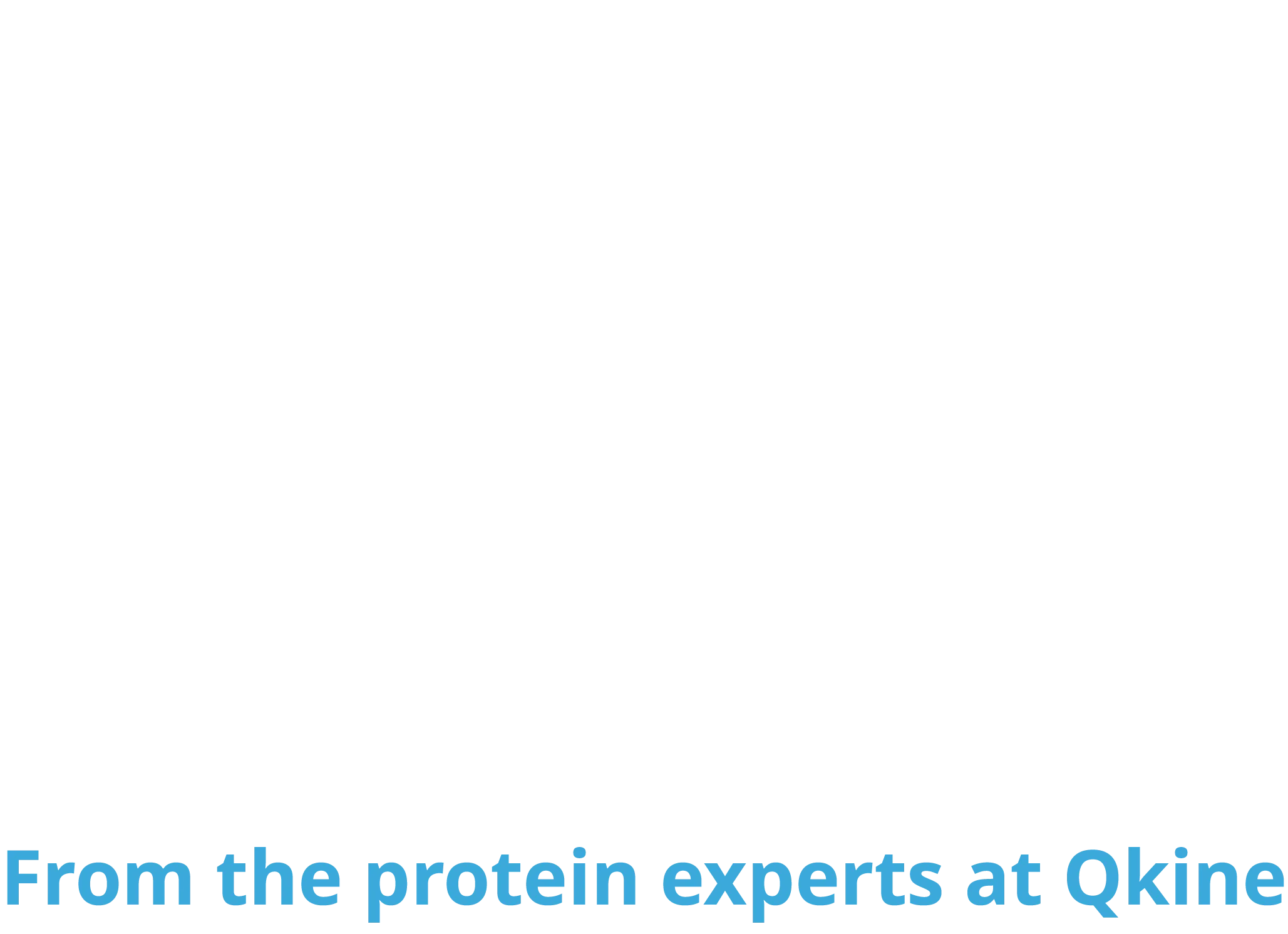 Pep talk logo v1.5 white for dark backgorund