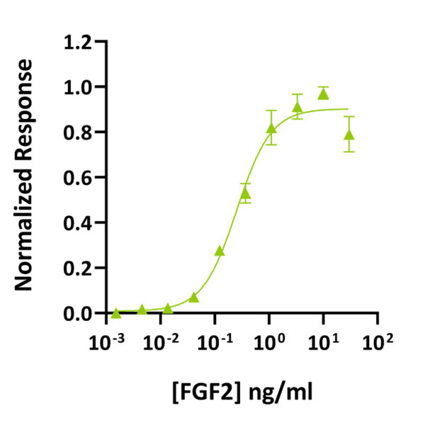 Recombinant chicken/duck FGF-2 (145 aa) protein (Qk030) - Image 3