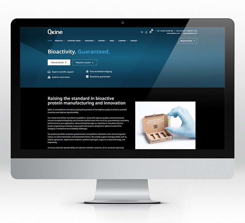 Qkine-home-page Qkine-home-page