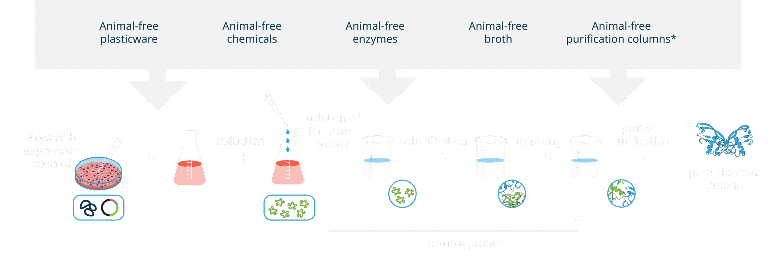 Animal free web graphic Animal free web graphic