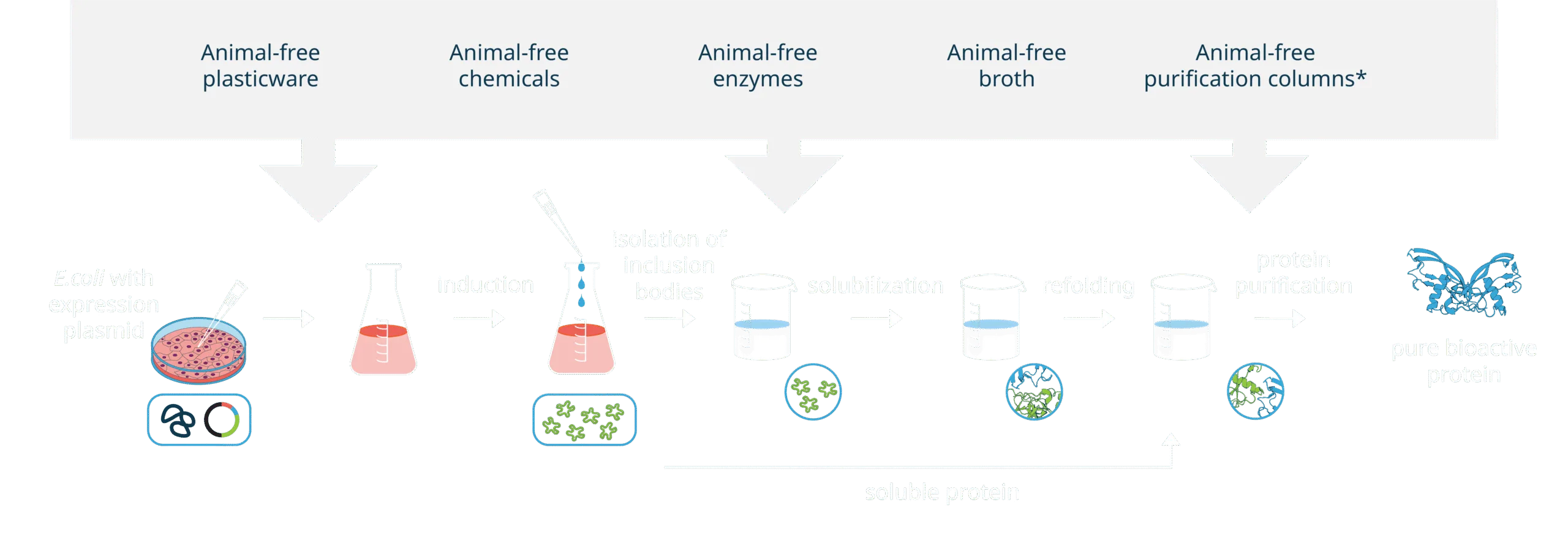 Animal free web graphic