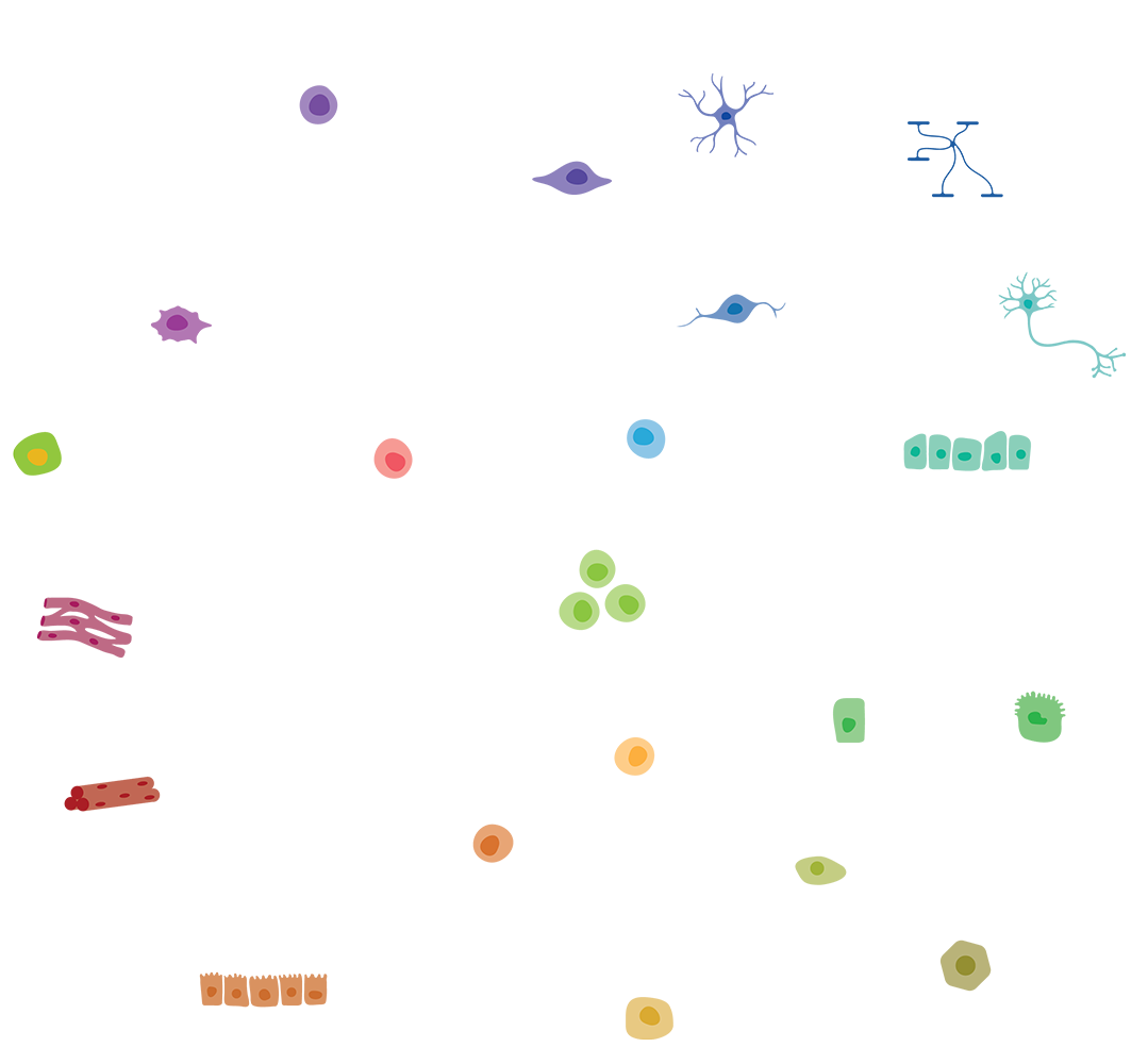 Neural graphic Neural graphic